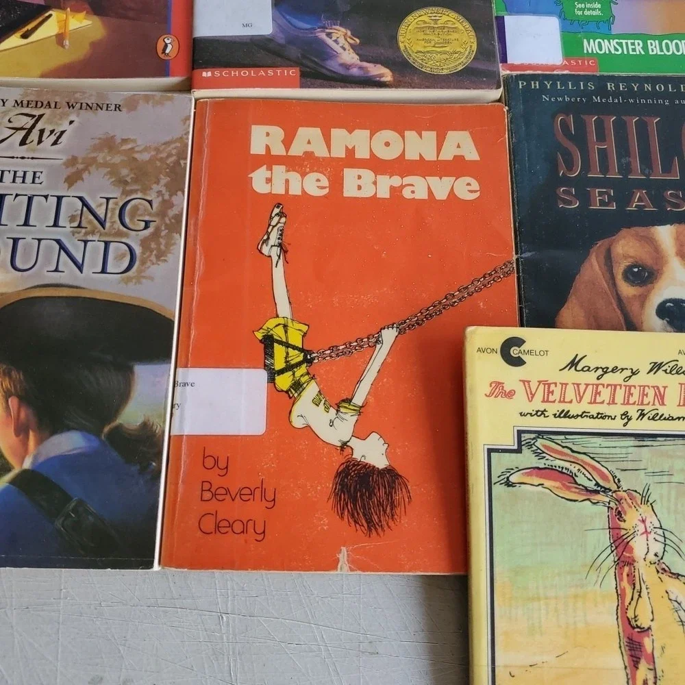 Lot of 33 Misc Titles  Gr 4-5 Leveled Reader Books Homeschool Classroom Tutor